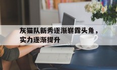 半岛体育官方-灰猫队新秀逐渐崭露头角，实力逐渐提升的简单介绍