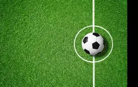 维罗纳成绩惊人，欧战资格渐行渐近